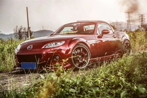 女生眼中l(wèi)ow到爆的汽車改裝 幼稚貼紙竟非第一？