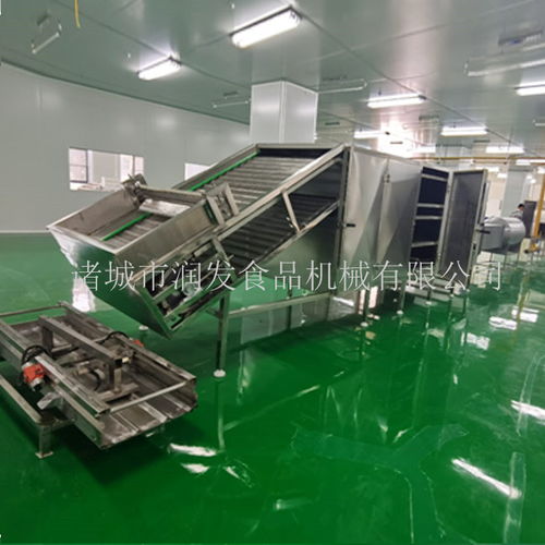 專業制造，全程服務——諸城潤發食品機械為您打造高效荷葉茶成套加工設備